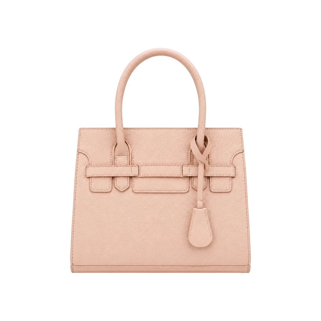 Sahru Female Pink Leather Structured Handbag